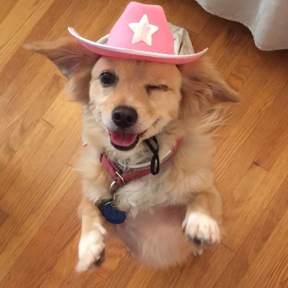 Meet your Posher, Julia